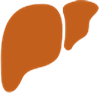 Hepatologia